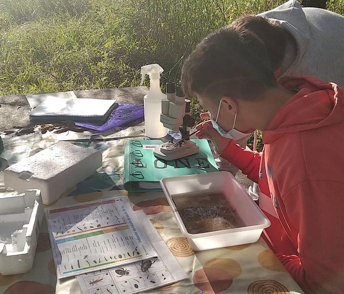 Dos alumnos analizan con microscopio algunos de los animales encontrados en la inspección anual del regato de As Bizocas.