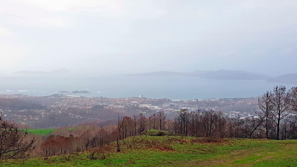 El verde asoma en el monte Alba // Marta G. Brea