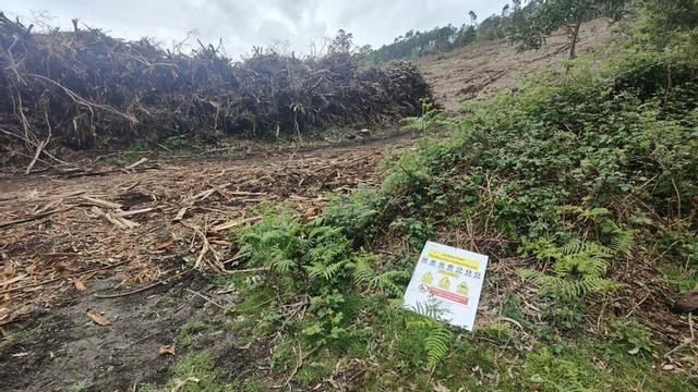 Biomasa apilada en abril, sin recoger, en el área afectada por la tala.