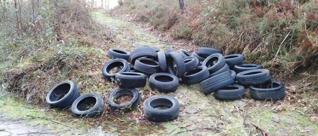 Los neumáticos que aparecieron esta semana tirados en montes de Chans, en Cela. //