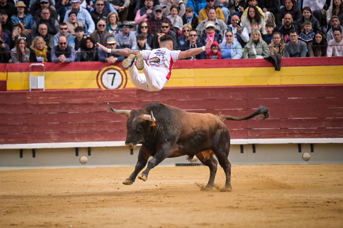 El Concurso Nacional de Recortadores de Castellón, en imágenes