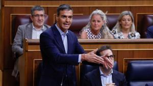 Pedro Sánchez en el Congreso este miércoles.