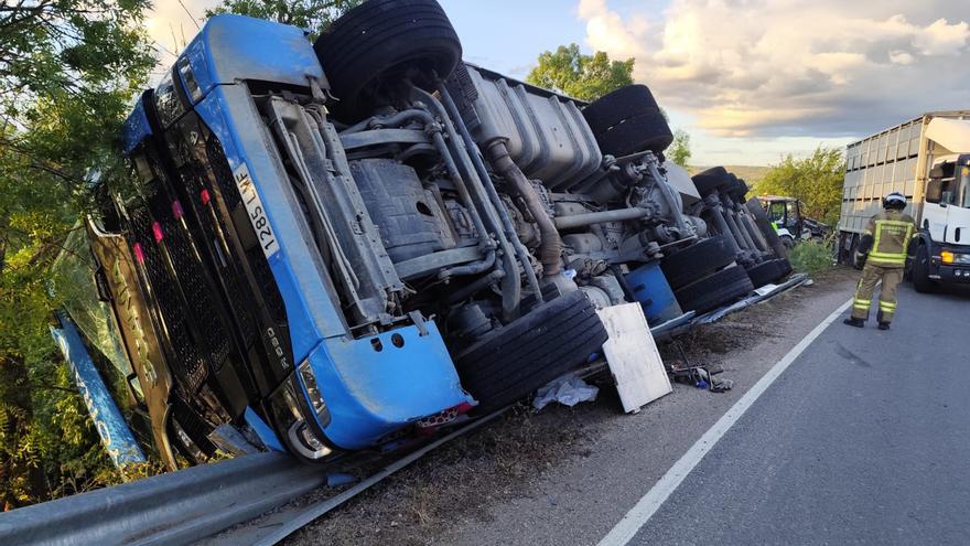 Vuelca un camión cargado de 160 cerdos en Zamora