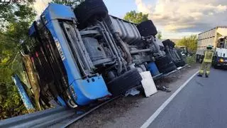 Vuelca un camión cargado de 160 cerdos en Zamora