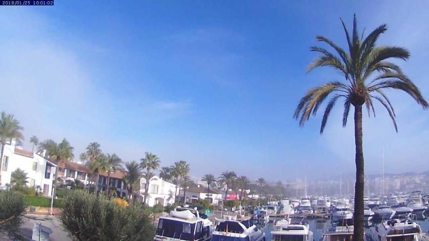 Am Donnerstagvormittag (25.1.) war es sonnig in Port d&#039;Alcúdia.