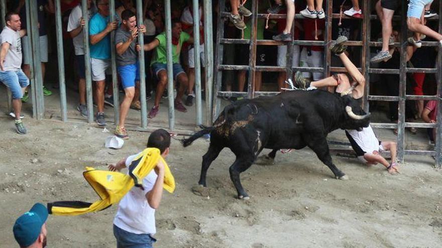 Dan de alta al caballista ingresado tras la primera Entrada de Segorbe