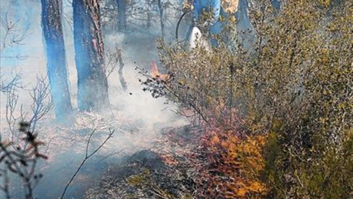 Personal del servicio de extinción trata de sofocar un fuego en Caldes de Malavella, hace dos semanas.