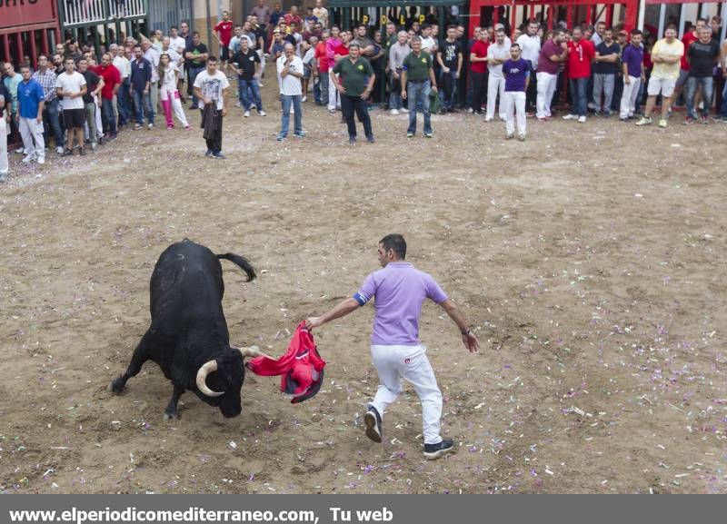 GALERÍA DE FOTOS -- Almassora se vuelca con las fiestas del Roser