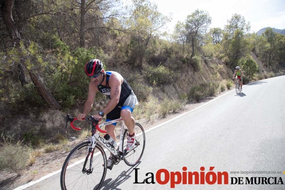 Triatlón Ciudad de Cehegín (categoría absoluta)