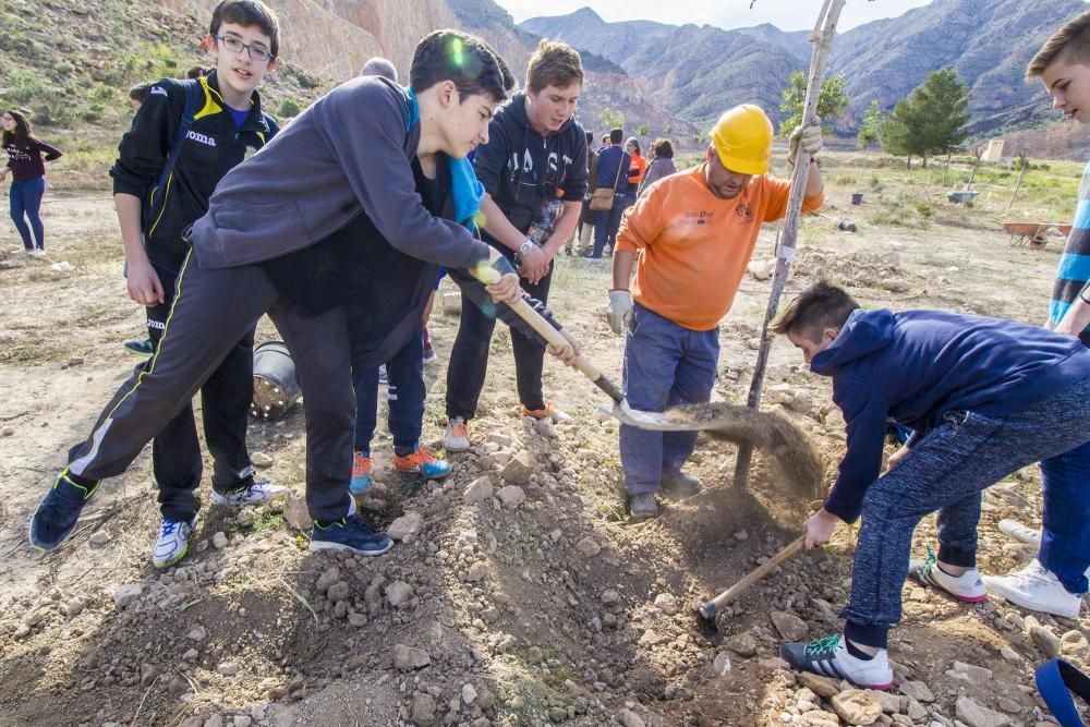 Proyecto para convertir la cantera de Cox en zona verde