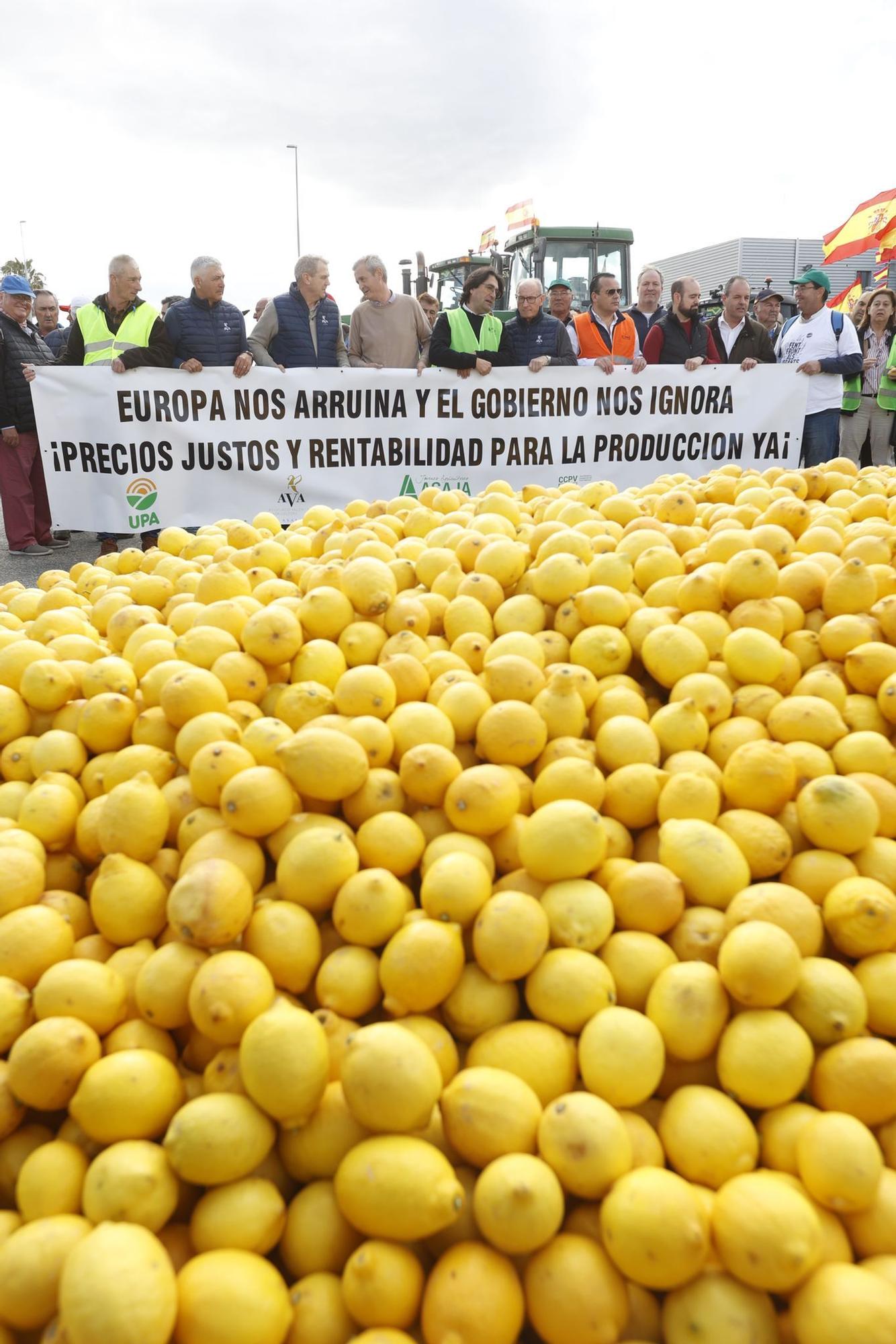 Los agricultores se concentran en tres comarcas de la provincia de Alicante en una tractorada por carreteras secundarias