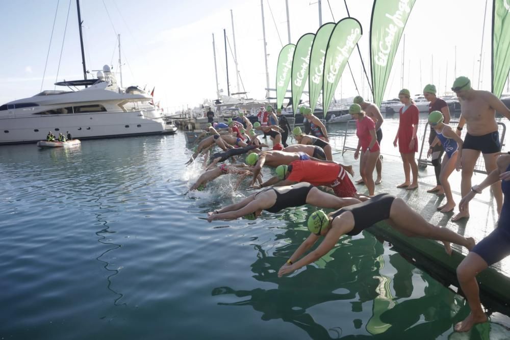 Weihnachtsschwimmen in Palma de Mallorca