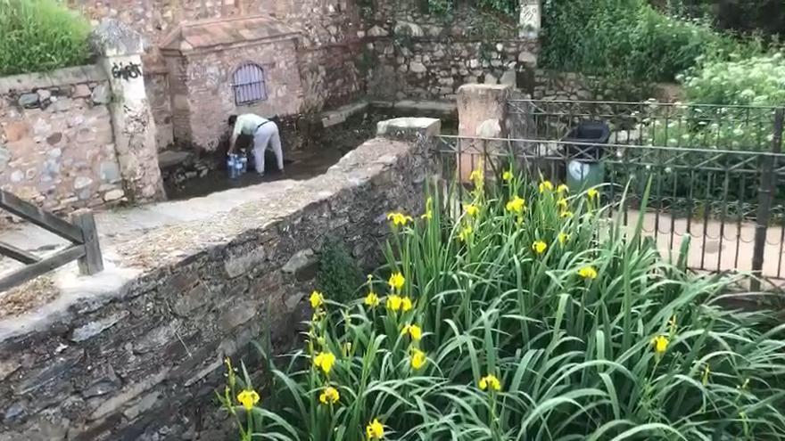 Vídeo | Así recogen agua de Fuente Fría en Cáceres