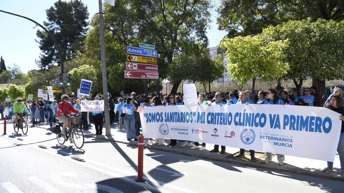 Veterinarios concentrados frente a la Delegación del Gobierno en Murcia.