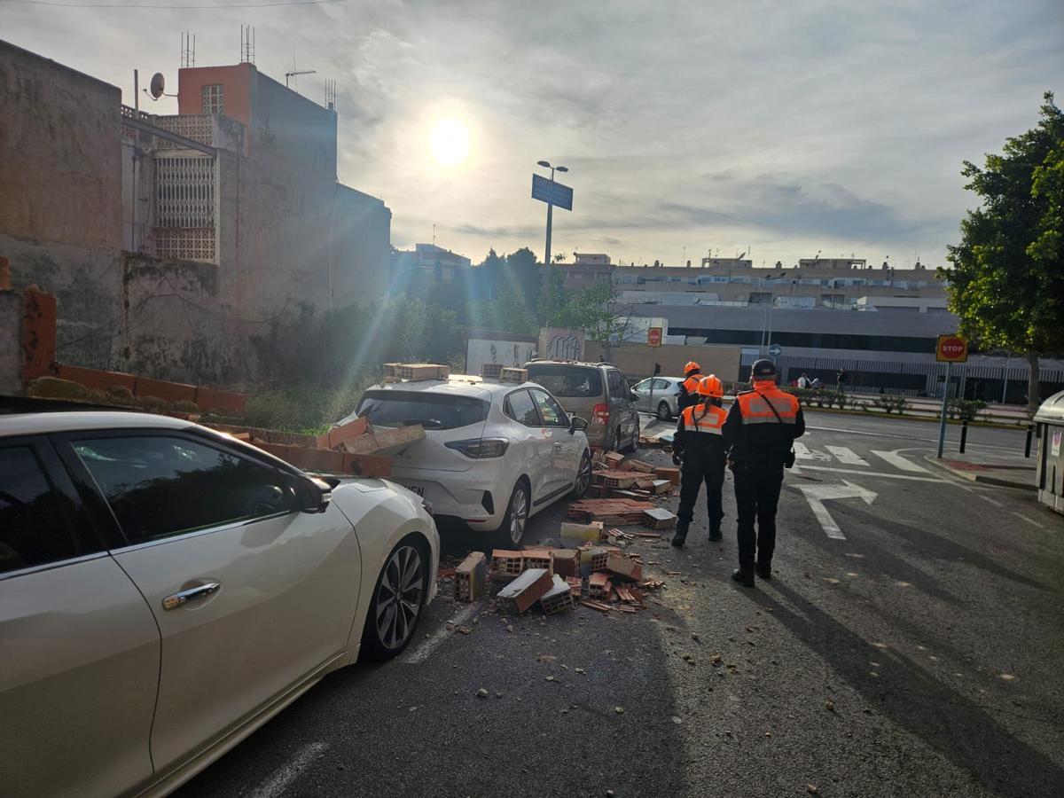 Árboles, muros y vallas derribados por el vendaval de la borrasca "Kristin" en Torrevieja Árboles, muros y vallas derribados por el vendaval de la borrasca "Kristin" en Torrevieja