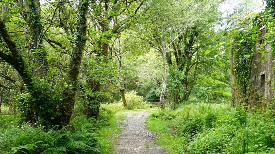 Ruta do Sarela, un sendeiro á beira do río que permite ir á pé e tamén en bicicleta, accesible andando dende o centro da cidade