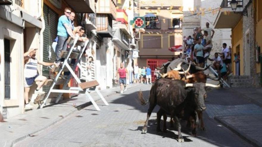 Segundo Encuentro de las Fiestas de Moratalla por vereda