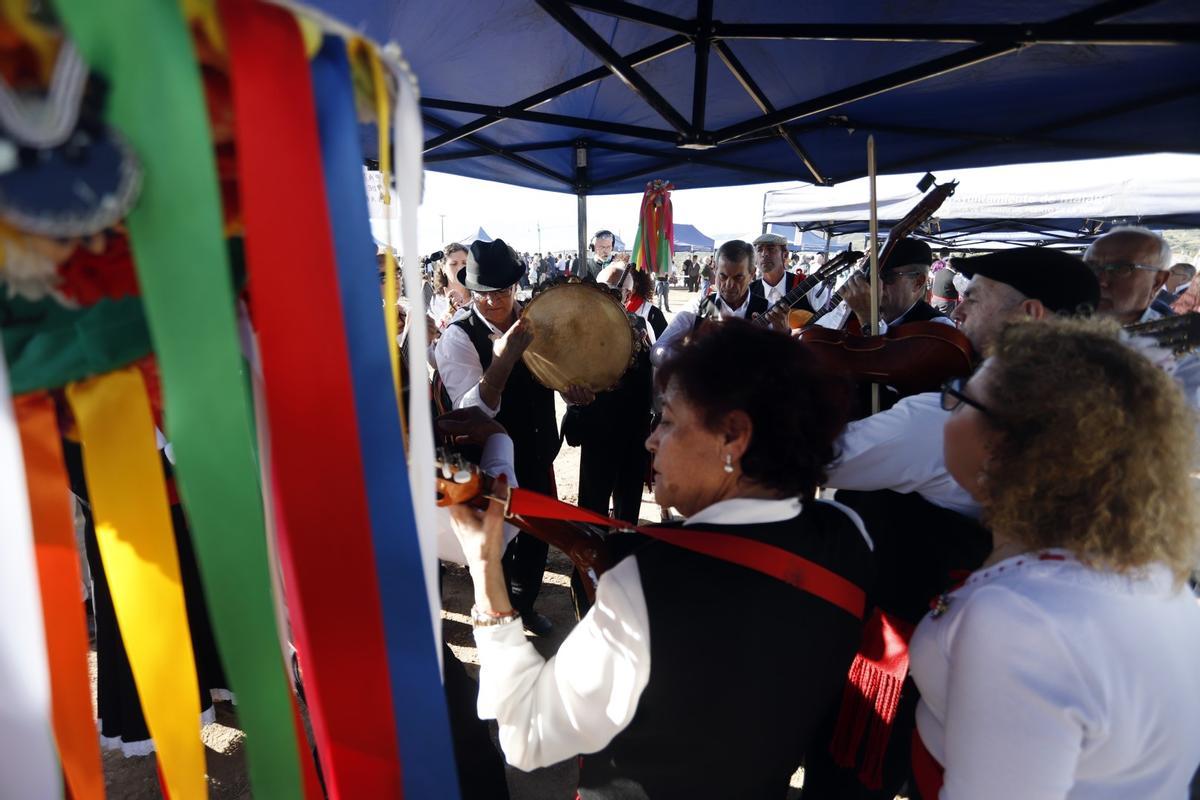 Fiesta de verdiales en Málaga (2022)