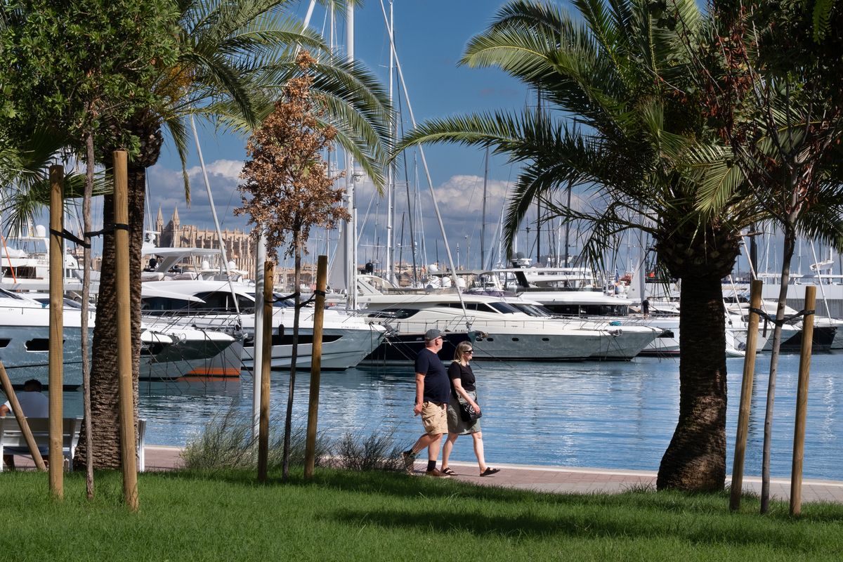 Las fotos del nuevo jardín interior del Paseo Marítimo de Palma
