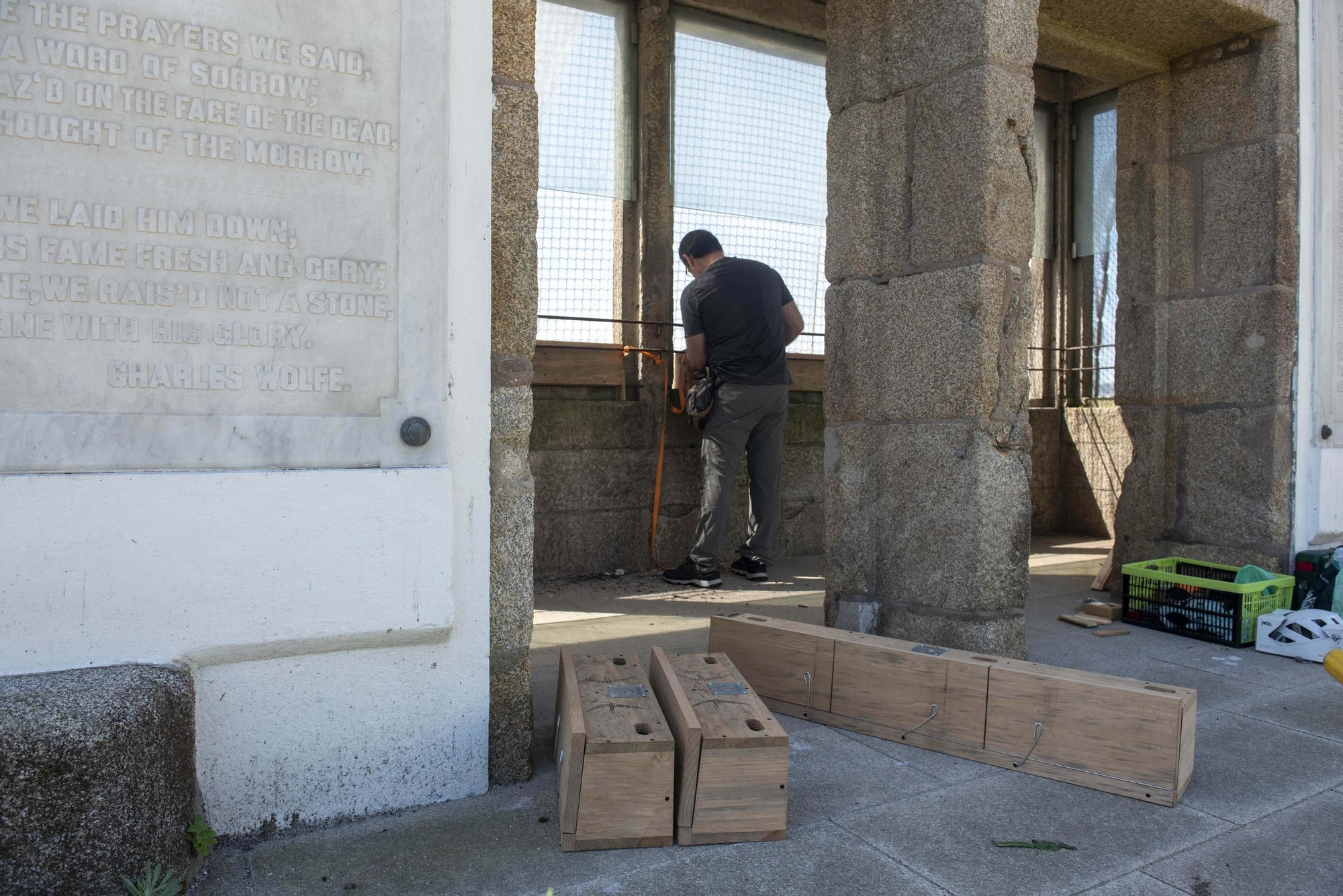 Nuevos hogares para los vencejos en el jardín de San Carlos