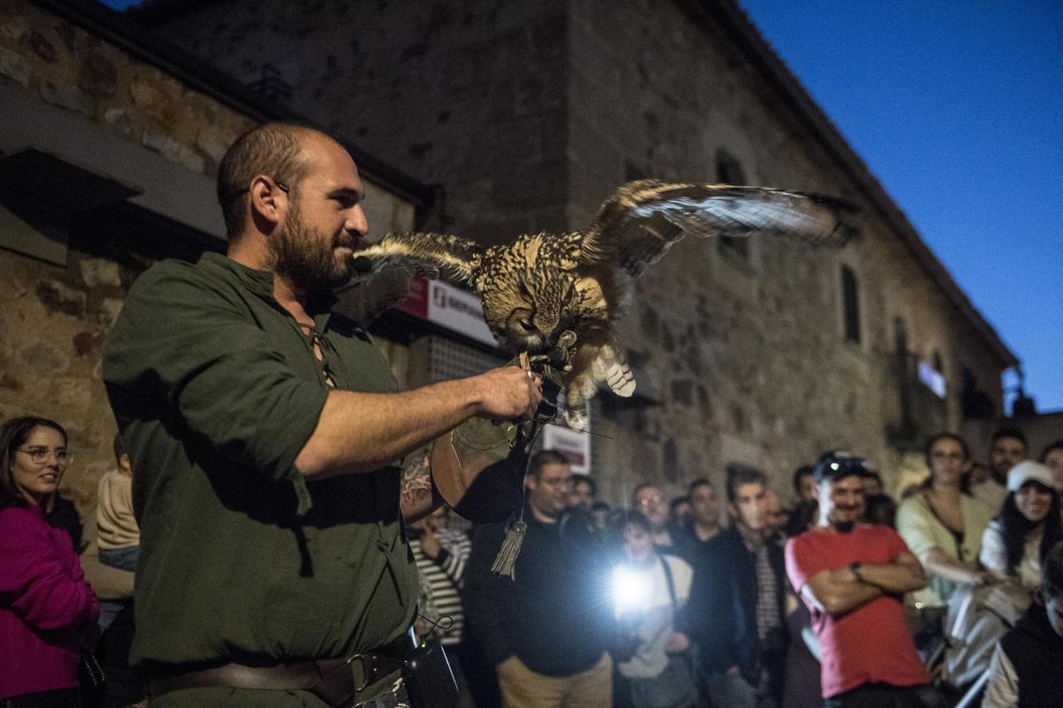 GALERÍA | Así es el Mercado Medieval de Cáceres con el regreso de la cetrería GALERÍA | Así es el Mercado Medieval de Cáceres con el regreso de la cetrería