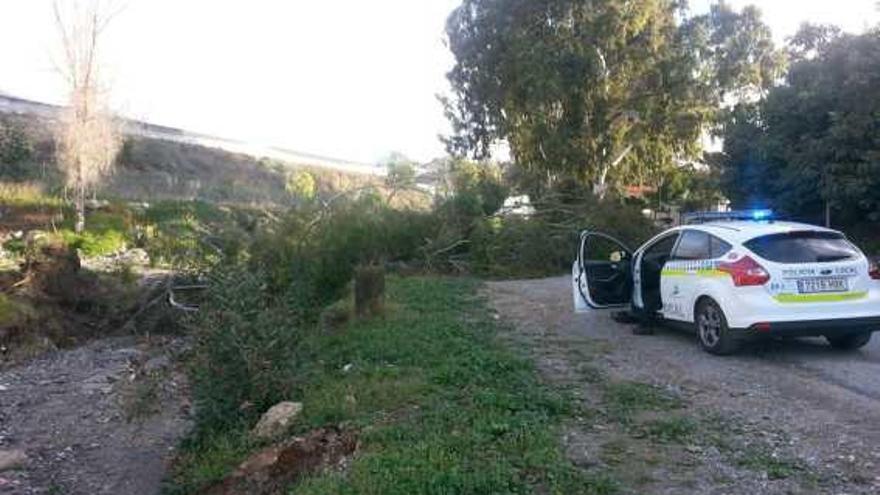 El acceso al cementerio de El Morche quedó cortado.