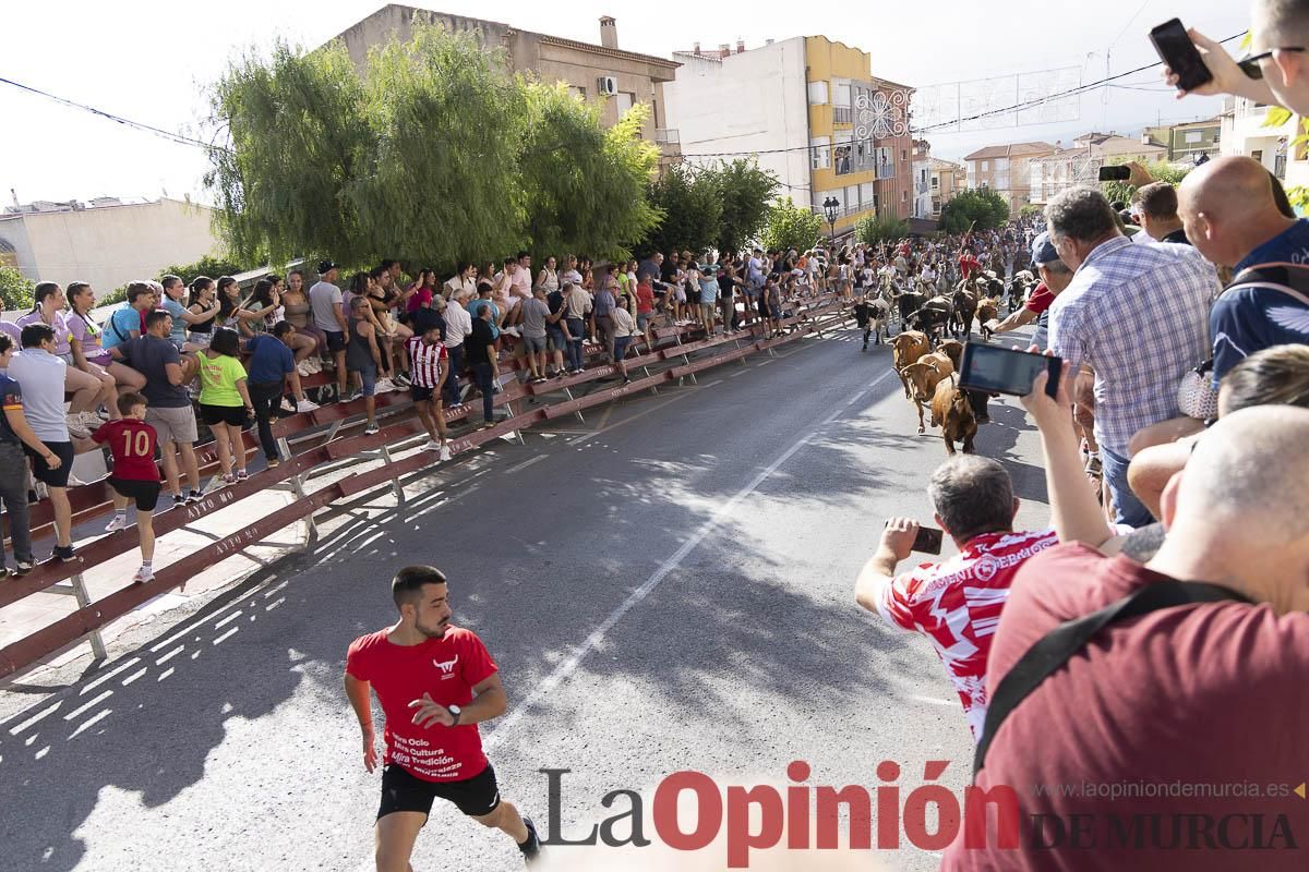 Primer encierro de las Fiestas de Moratalla