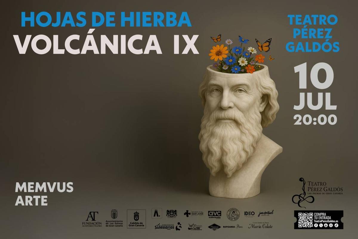 Cartel de Volcánica IX