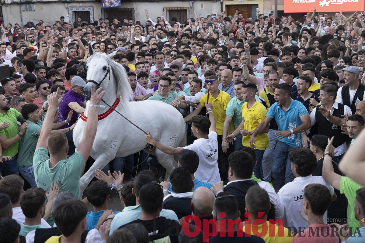 Fiestas de Caravaca | Entrega de premios del concurso morfológico