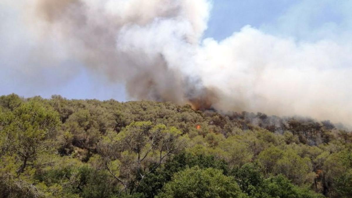 Columna de fum de l’incendi d’Olivella, al massís del Garraf, el 18 de juny passat | BOMBERS DE LA GENERALITAT