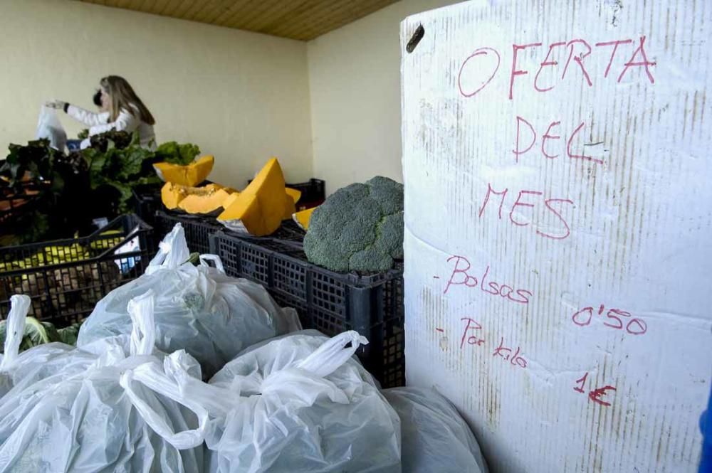 Mercado de berros a 1 euro en Ingenio