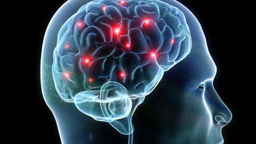 Un estudi pioner avaluarà l&#039;estat de salut cerebral dels catalans