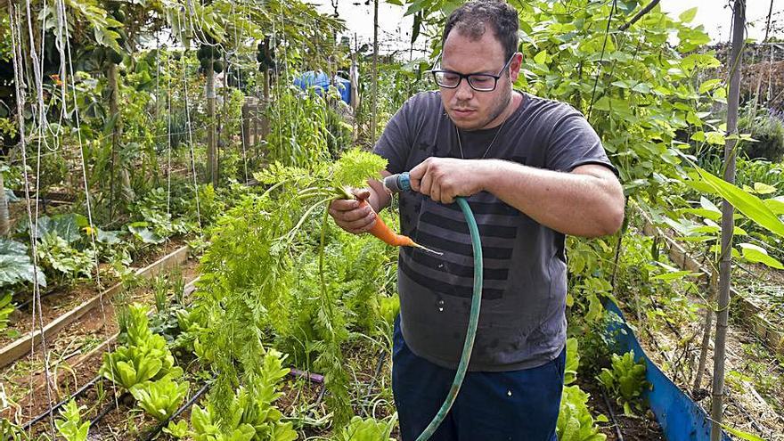 Los ecohuertos brotan en El Burrero