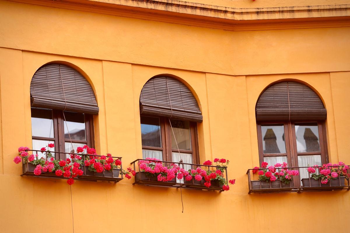 Ganadores del Concurso de Rejas y Balcones de Córdoba 2026