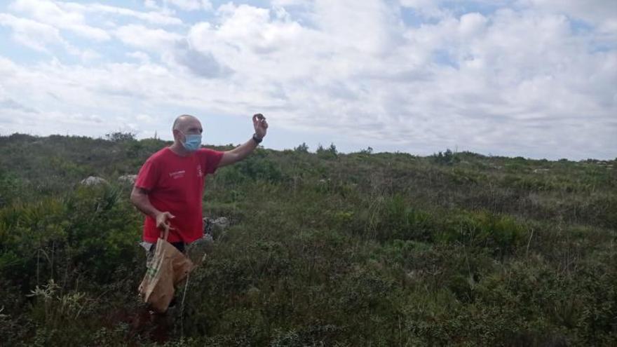 Un trabajador lanza una de las «bombas de vida» en la zona que se va a reforestar. | LEVANTE-EMV