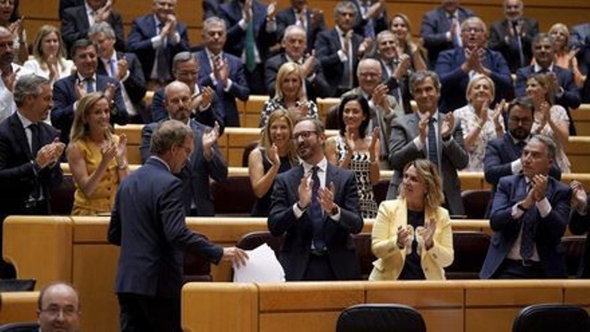 El líder del PP, Alberto Núñez Feijóo, en el Senado mientras las filas del partido aplauden.