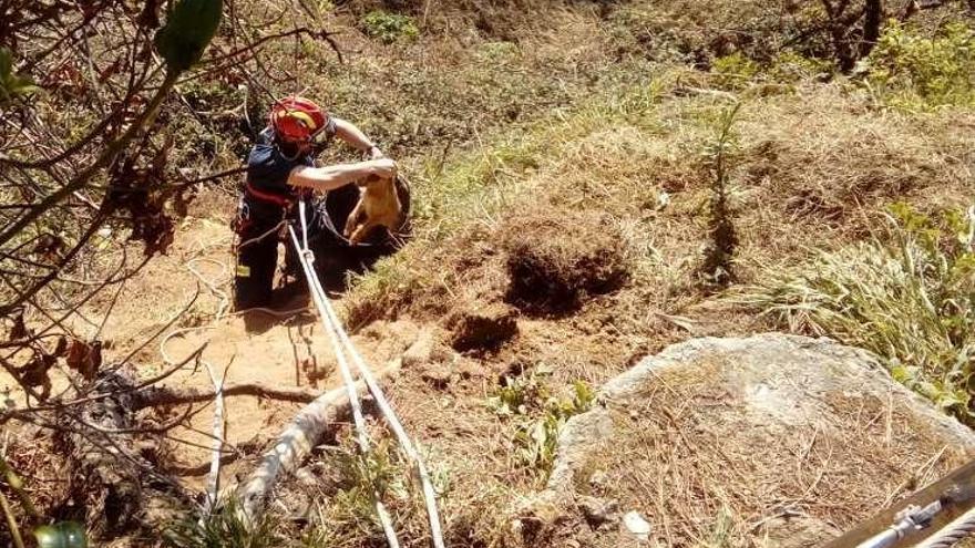 Uno de los efectivos con el perro en el momento del rescate.