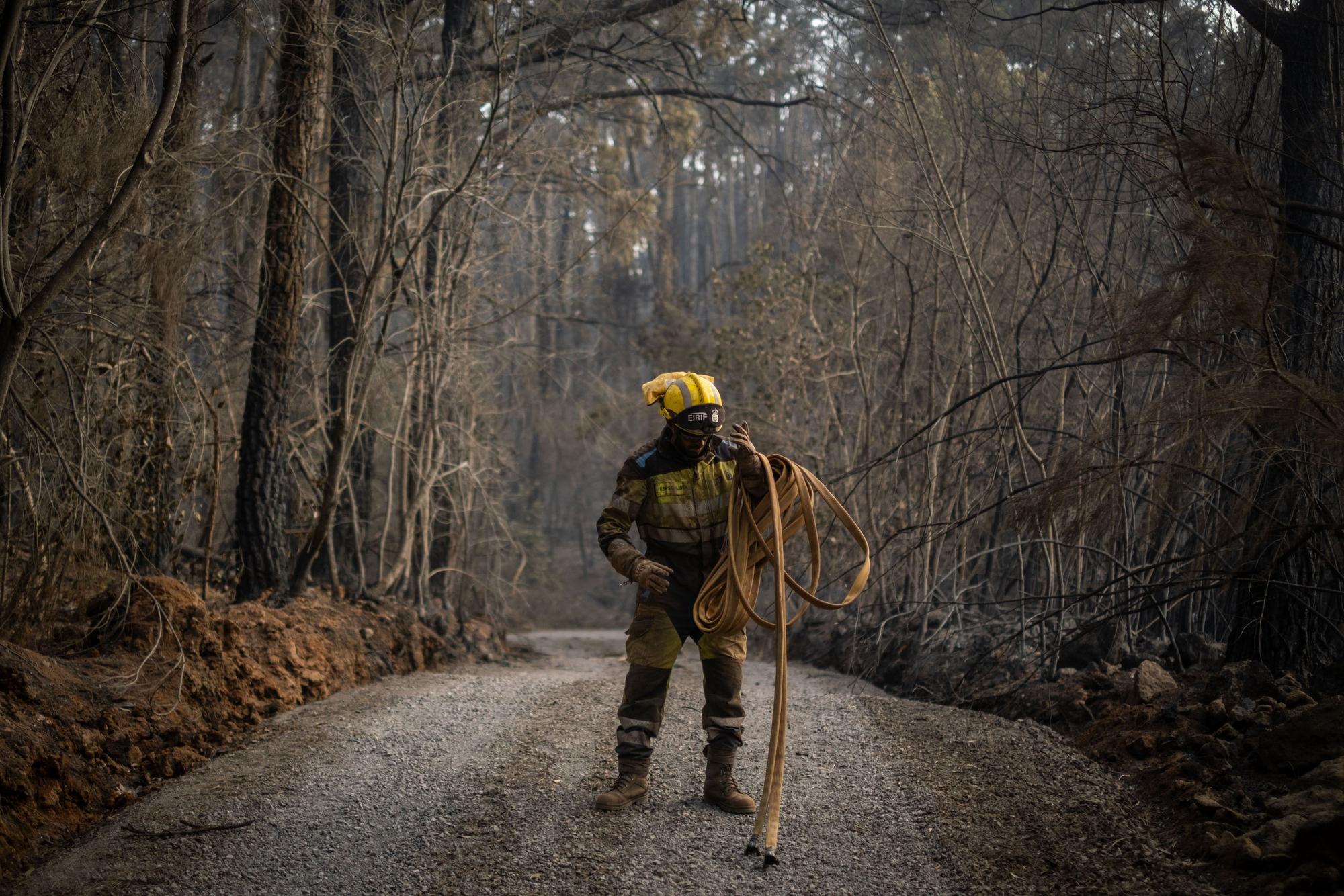 Labores de enfriamiento en Ravelo del incendio de Tenerife