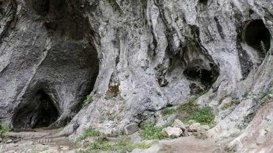 Entrada a la cueva del Conde.