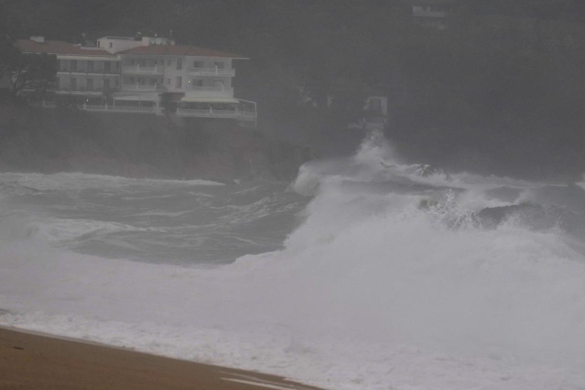 Imatges de la balena morta arrossegada pel temporal a la costa de Platja d'Aro