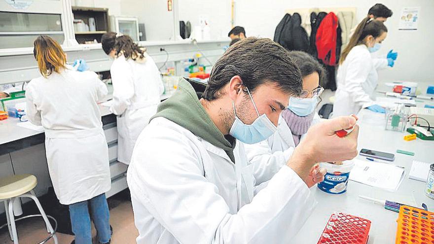 La facultad de Ciencias impartirá el próximo curso el Grado de Biotecnología.