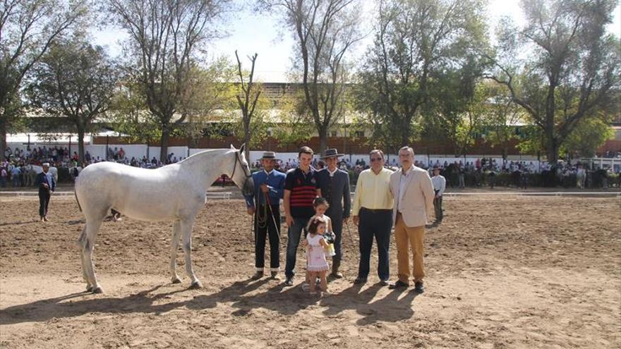 Los caballos PRE deslumbran otra vez