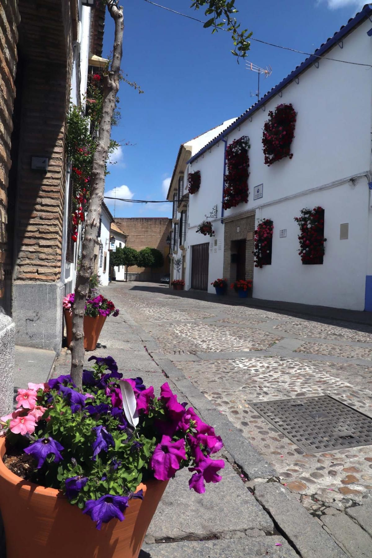 Paseo por el Alcázar Viejo durante la crisis del coronavirus