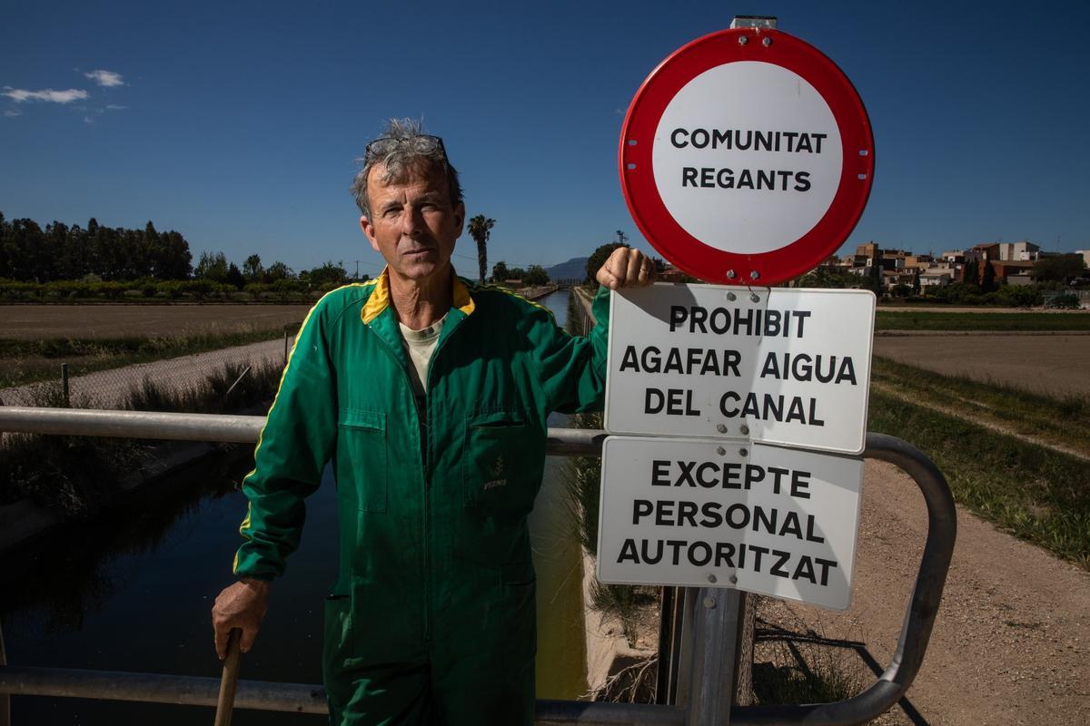 Arranca el riego del arroz en el delta del Ebro