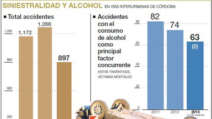 Denuncian a 1.413 conductores en diez meses por ir bebidos