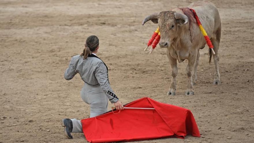 La corrida de toros celebrada el domingo en Alcúdia será una de las últimas en Mallorca.