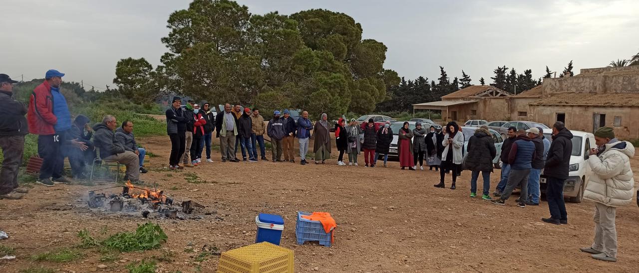 Trabajadores de Soldive concentrados esta mañana en los campos de cultivo