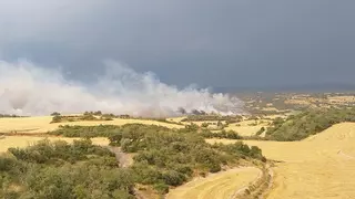 En la zona cero del incendio de Torrefeta: "Vi un tractor cosechando que estaba rodeado de humo"