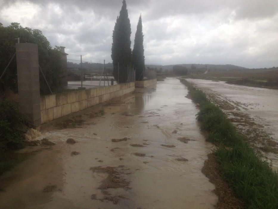 Camí zona municipis de Sant Joan i Lloret