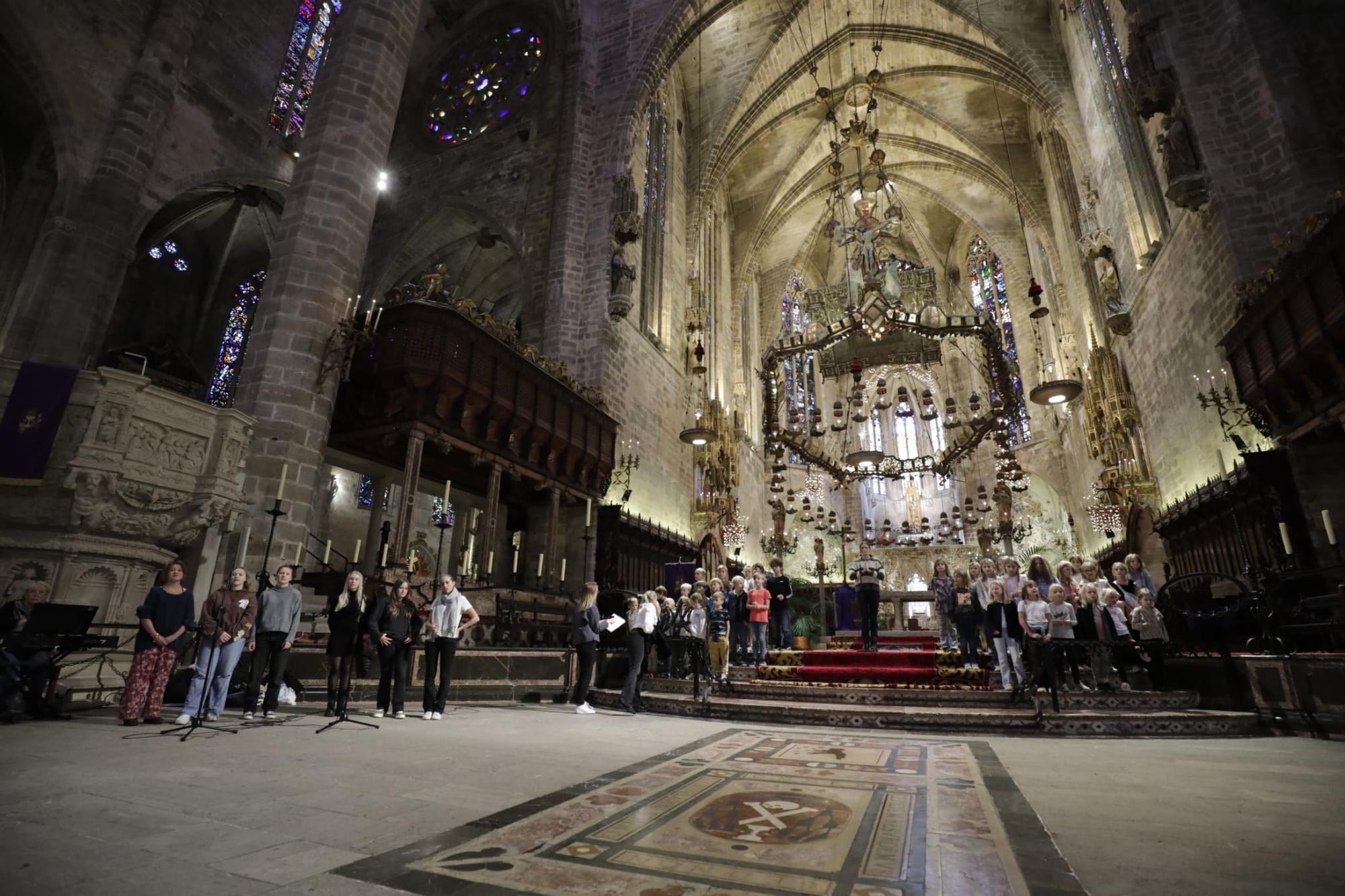 El Colegio Sueco se prepara en la Catedral de Mallorca para el concierto de Santa Lucía